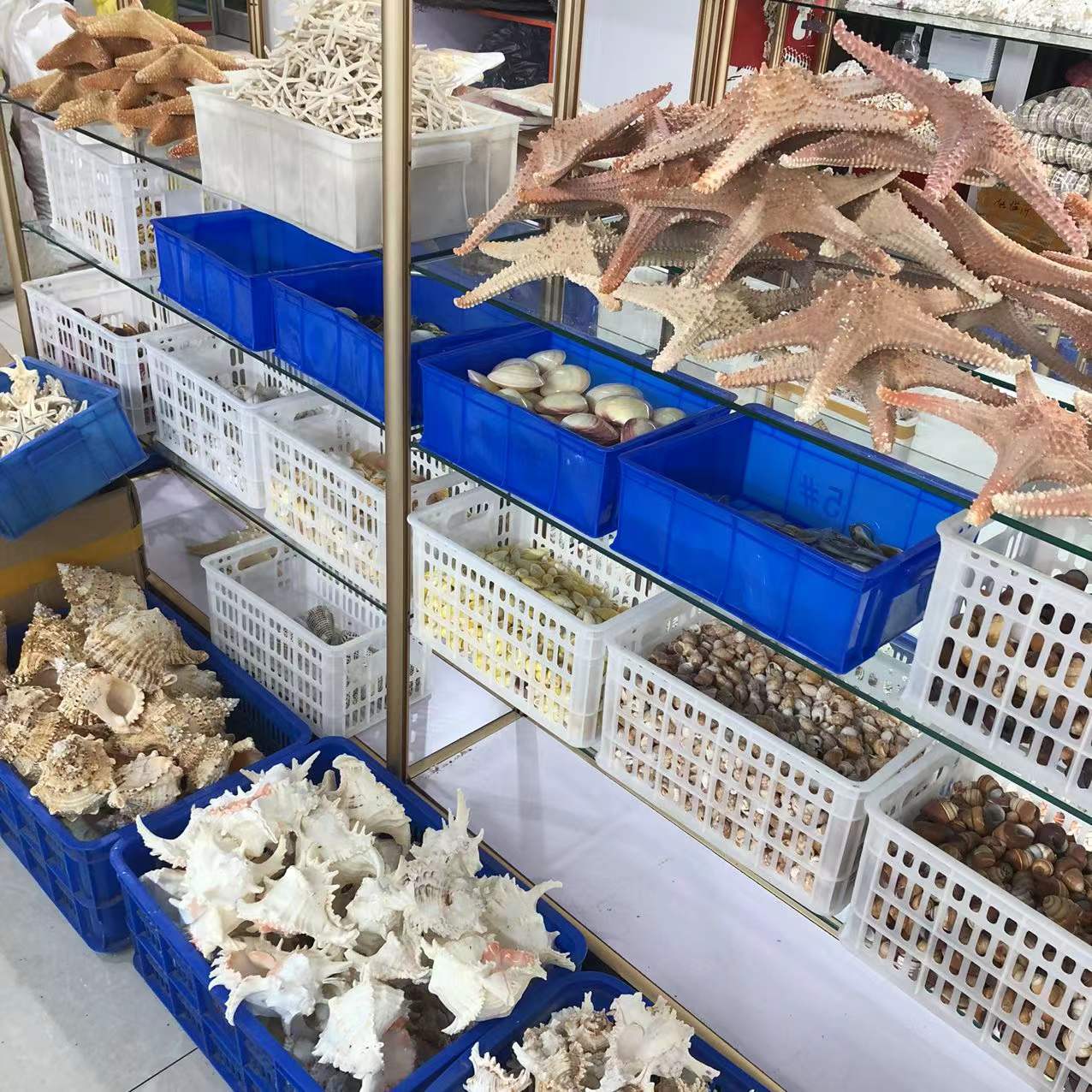 微信图片_20220115214037