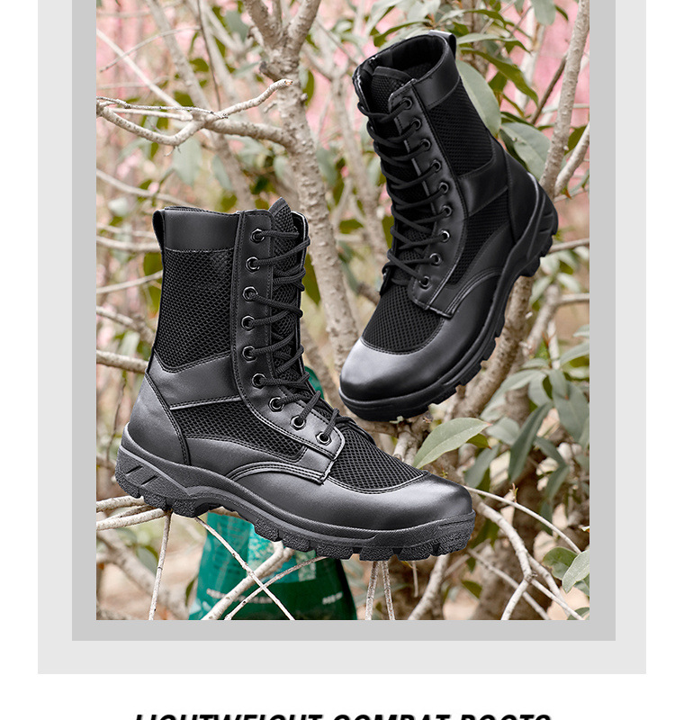 3e31233f-2582-4357-beb6-6e4730afbb4a.jpe