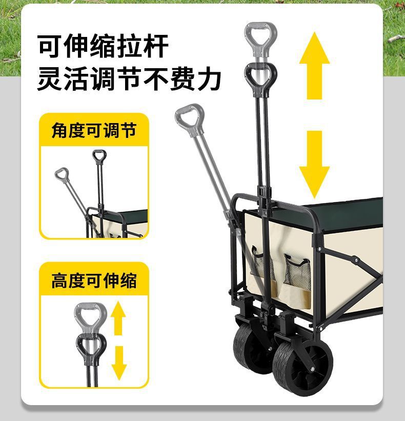 03100a66-2b50-466e-bf0c-f9c783ef39e3.jpe