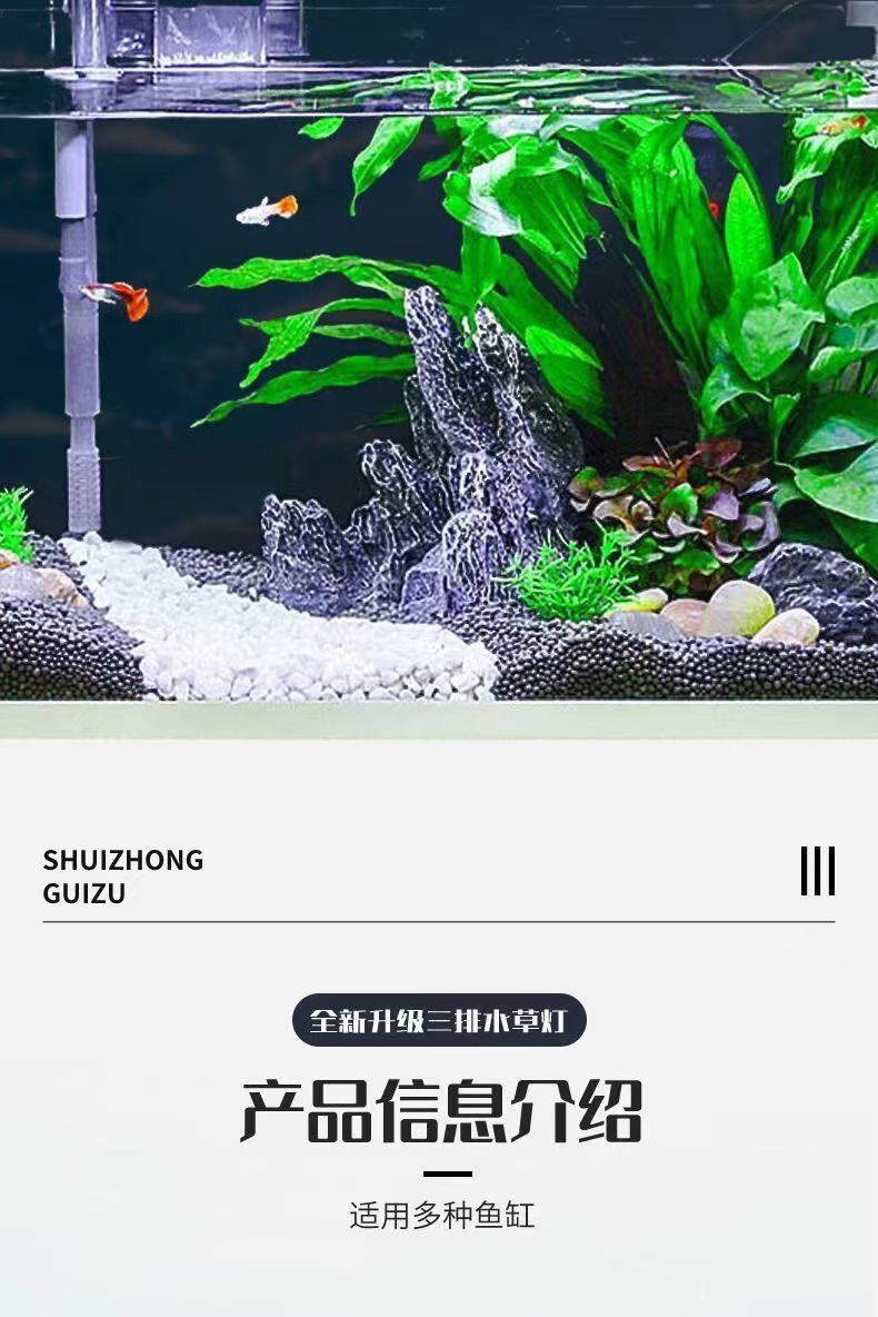 9e5a2167-dbf6-4e61-a358-9fc721ab70e5.jpe