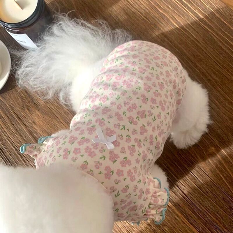 e699ad1e-2606-4bf4-87cc-7c5a1f142b7e.jpe