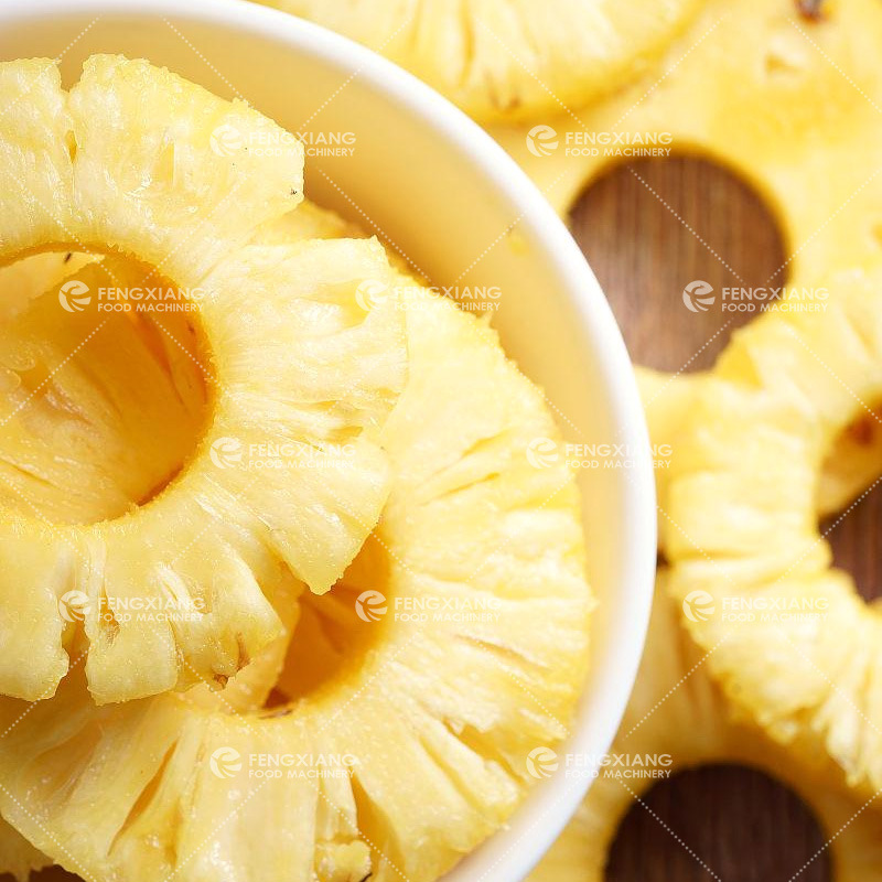 菠萝削皮捅芯切圈机-5.jpg