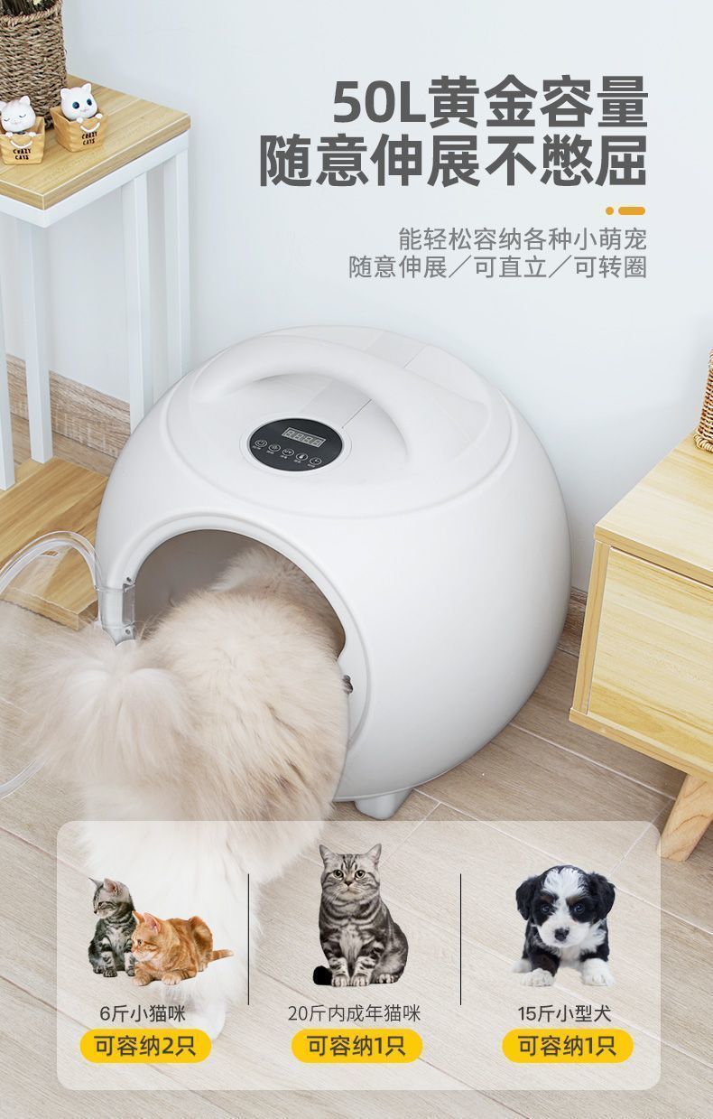 357ee634-7eb9-4538-8101-a1d09c5bf4a6.jpe