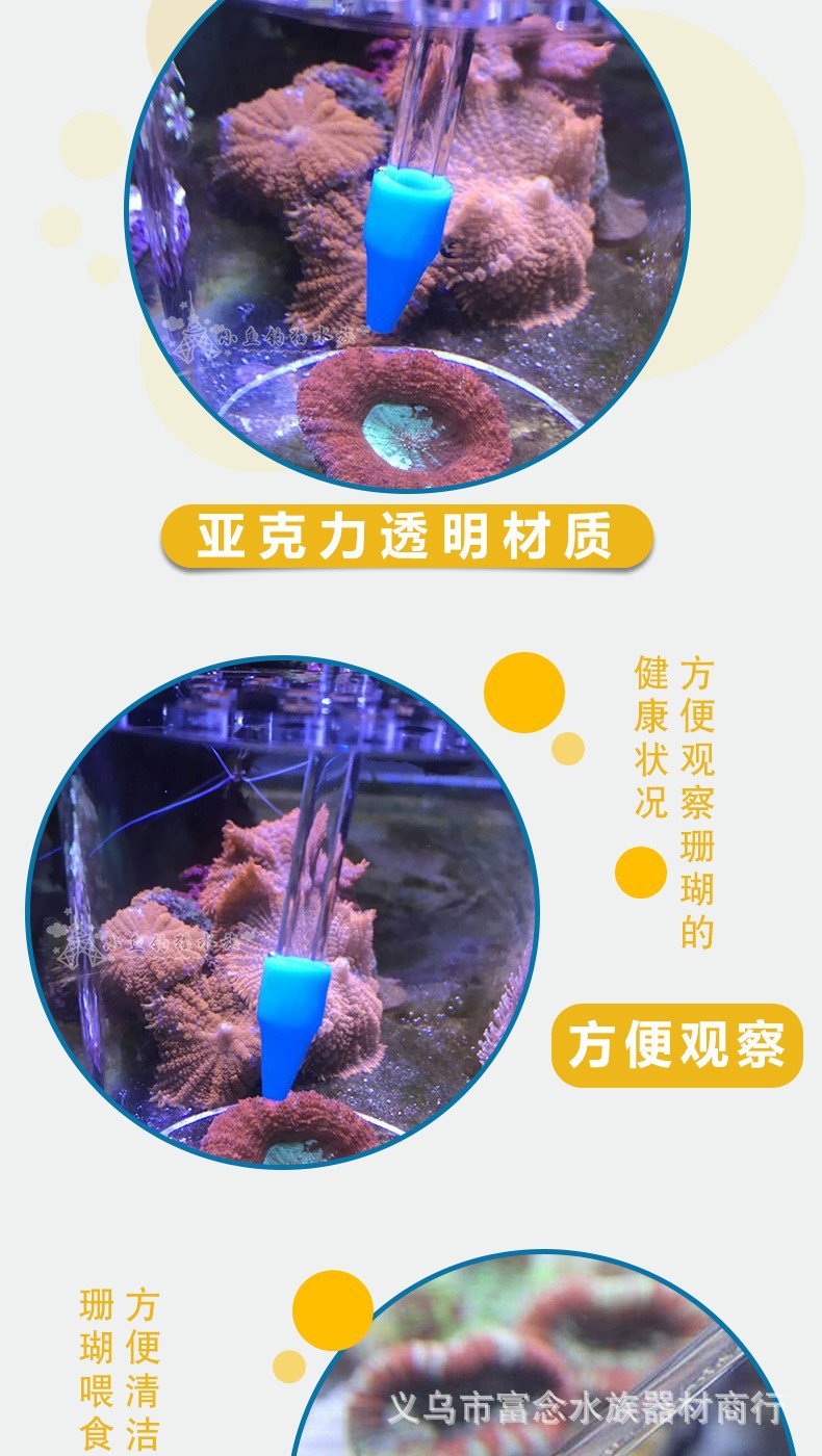 详2.jpg