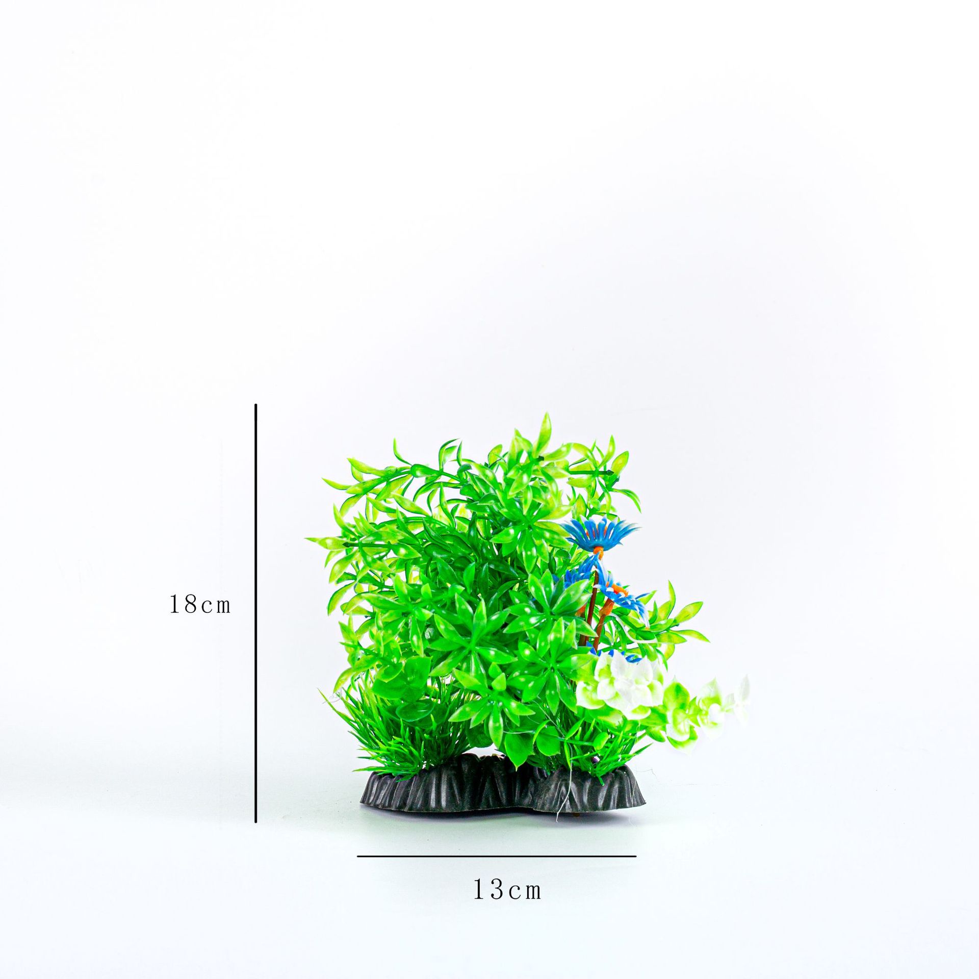 IMG_5439    18   17   13