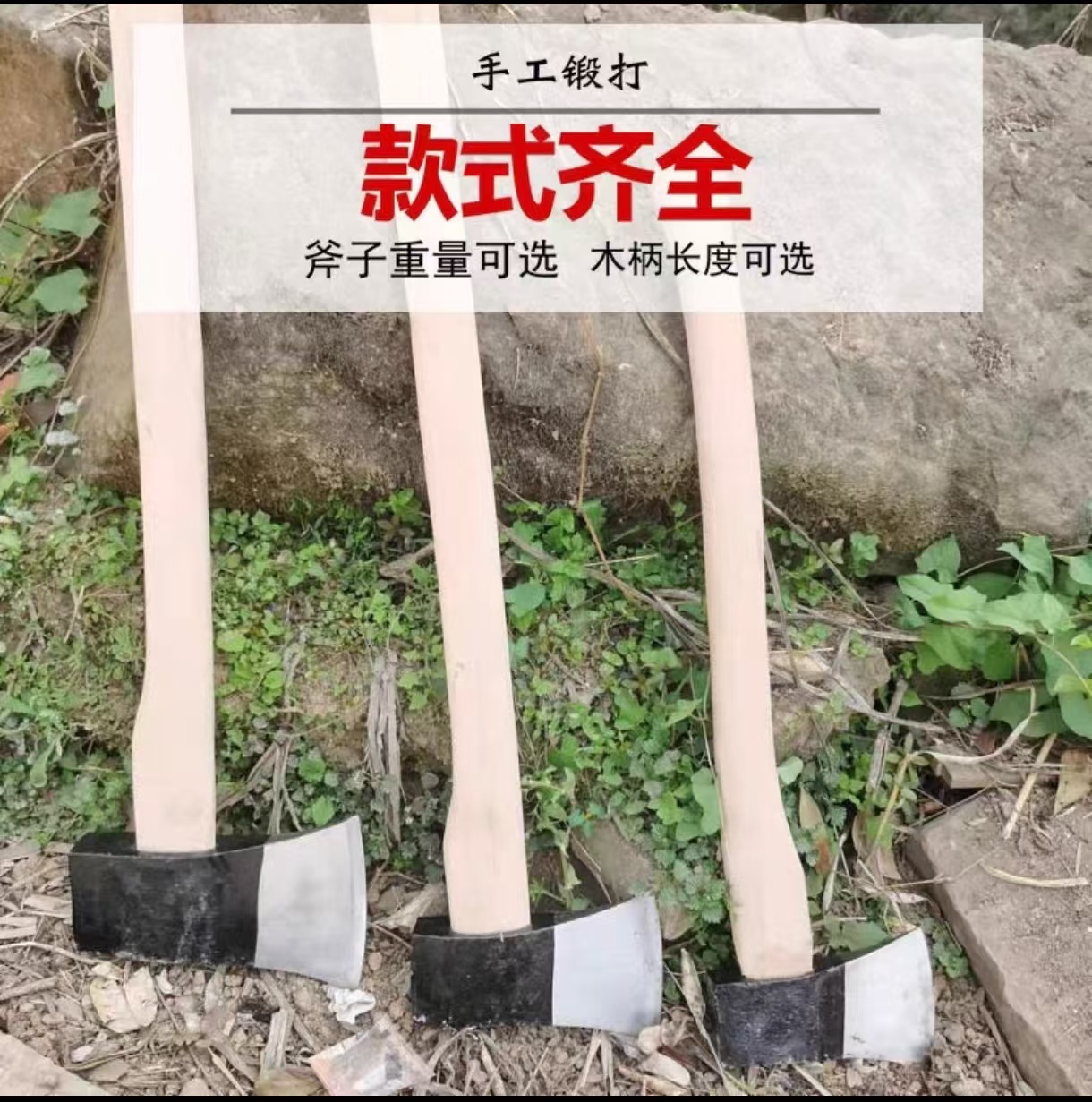 微信图片_20241224142321