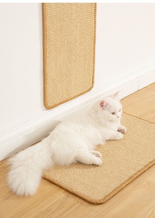 6eebefac-7916-40a8-9d37-11b87feb40f5.jpe