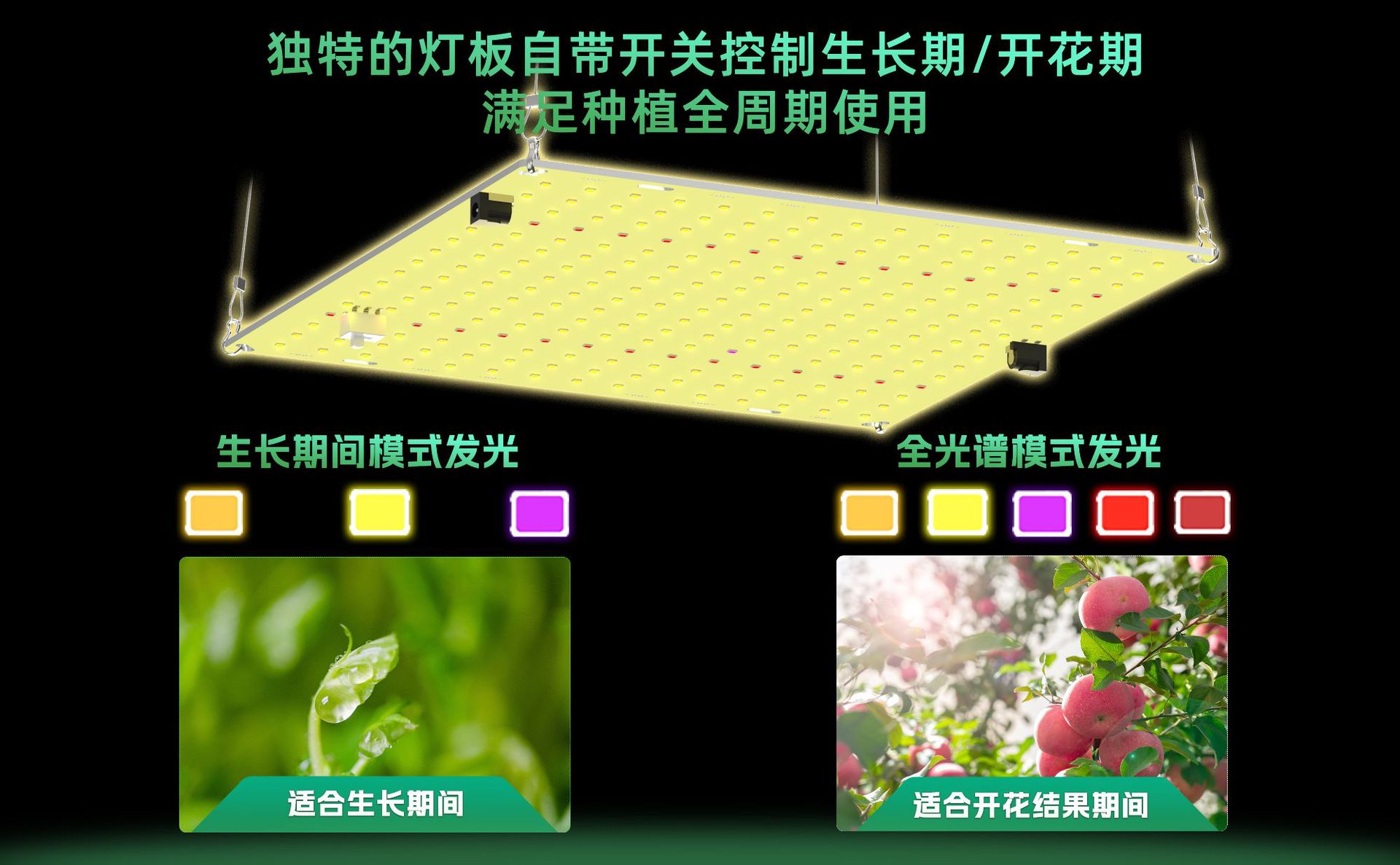 详情5