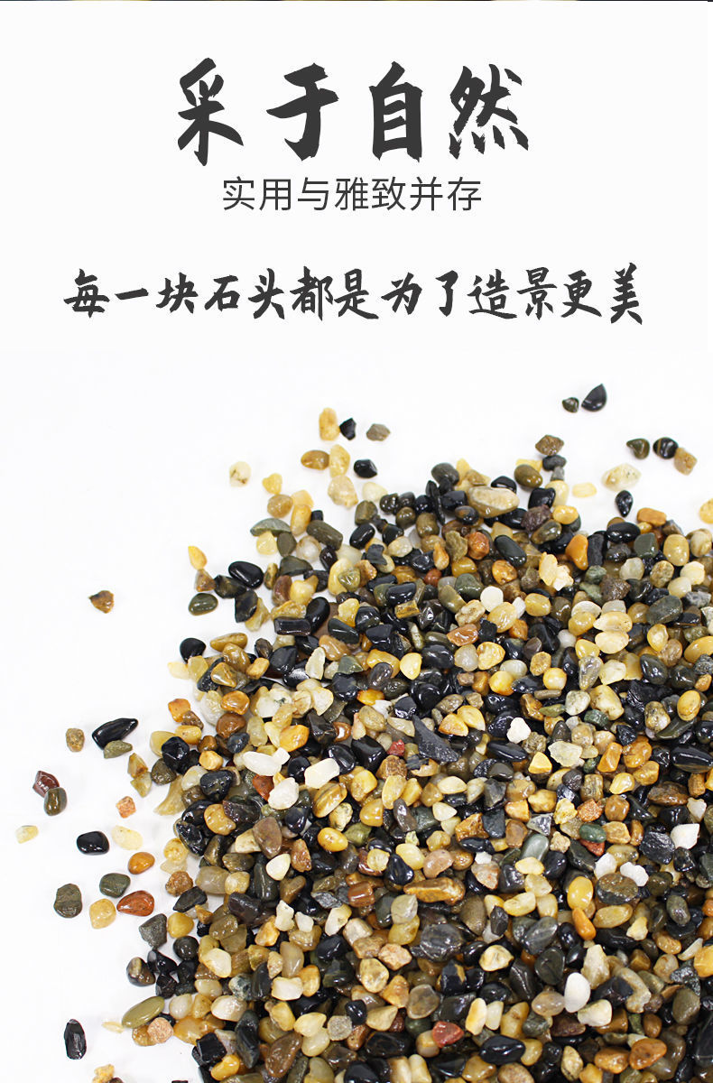 8eff3216-2d1d-4ad0-b800-6f1411285d55.jpe