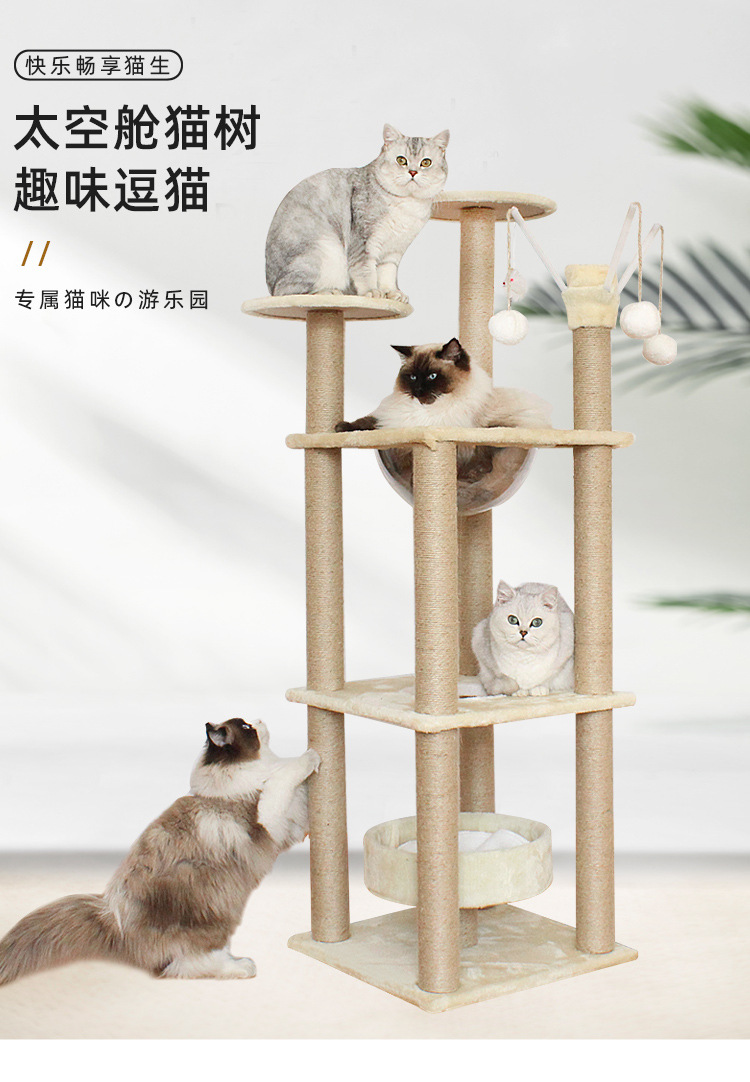 详情页_01.jpg