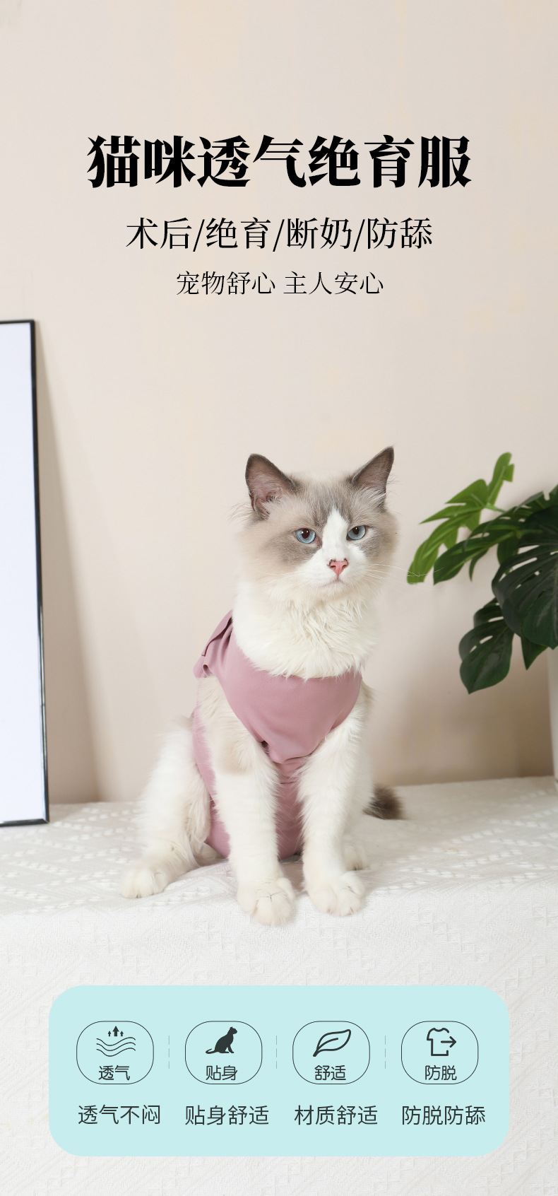 猫咪绝育服_01