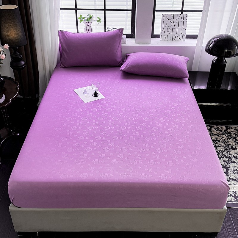 8e805465-72e4-46c0-8a33-5cfead8cffed2025