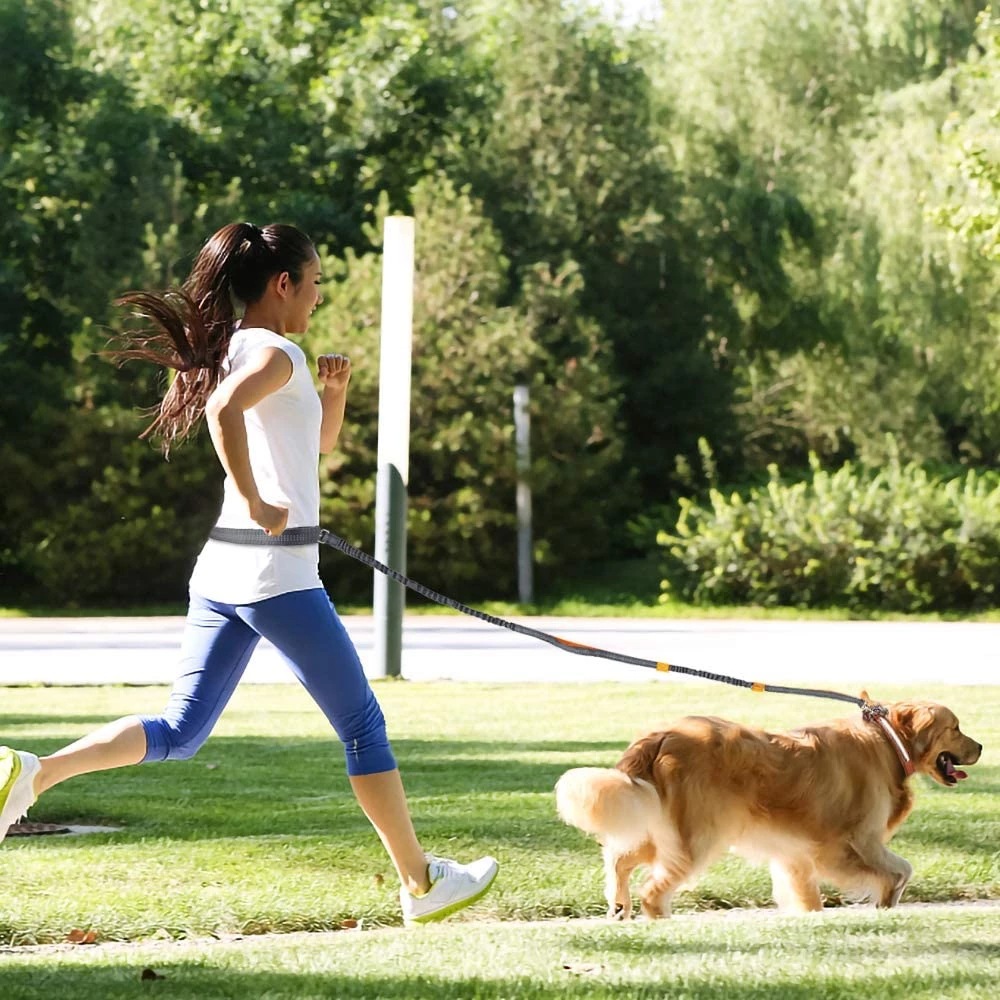 Dog-Leash-Hands-Free-Leash-For