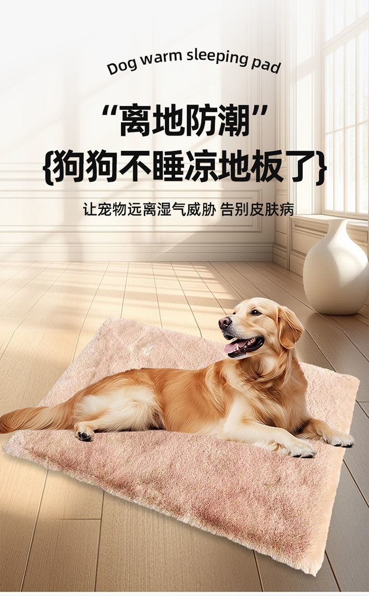 d06e4b07-a59d-4aba-a82f-8aaaa1617fd6.jpe