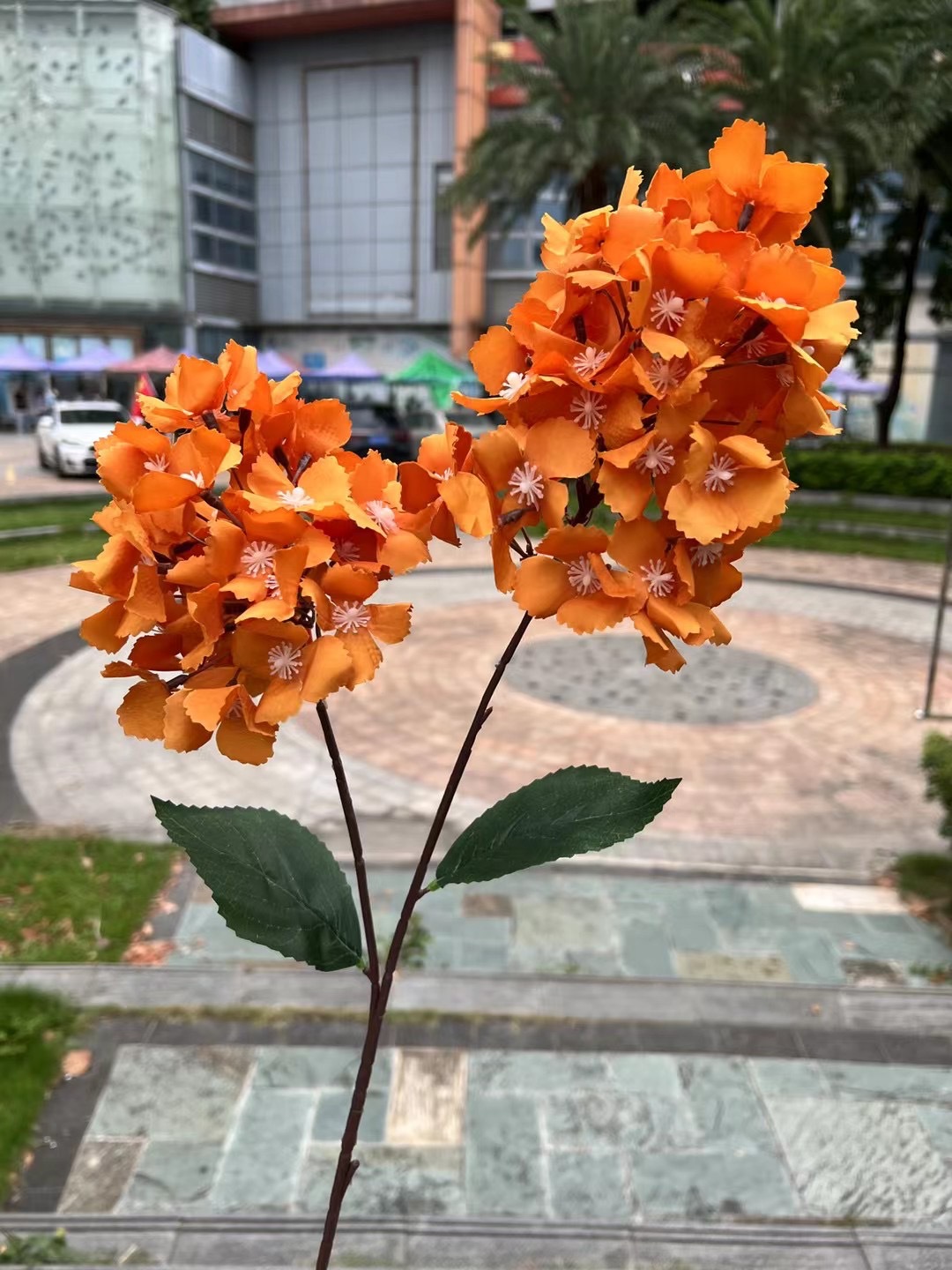 微信图片_20230618143635