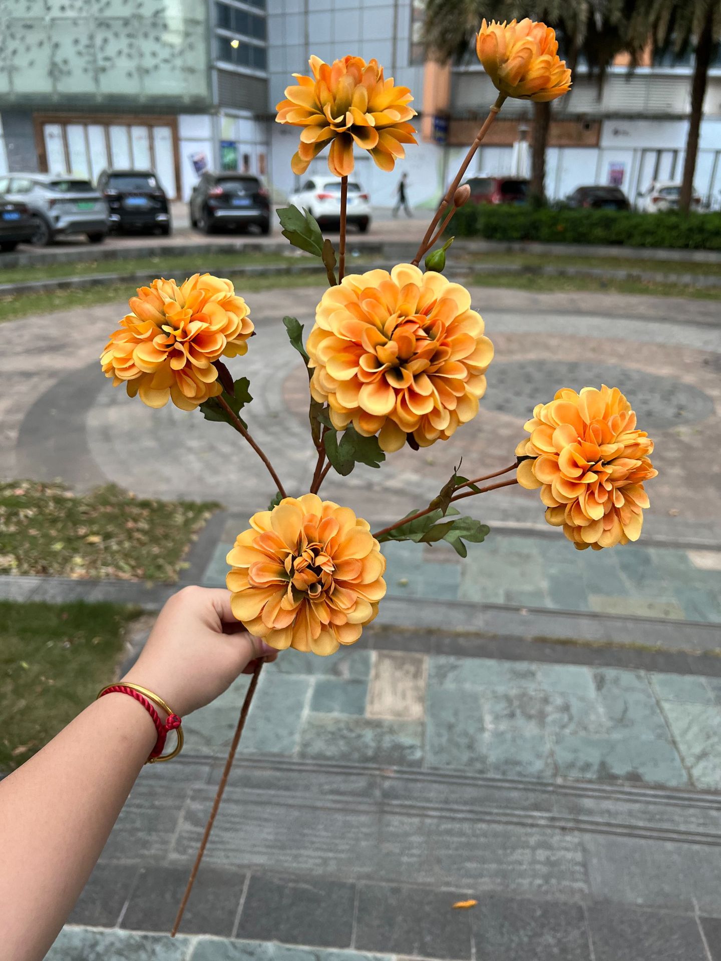 聚美-6头嫣然小丽花-详情_26 (15).jpg