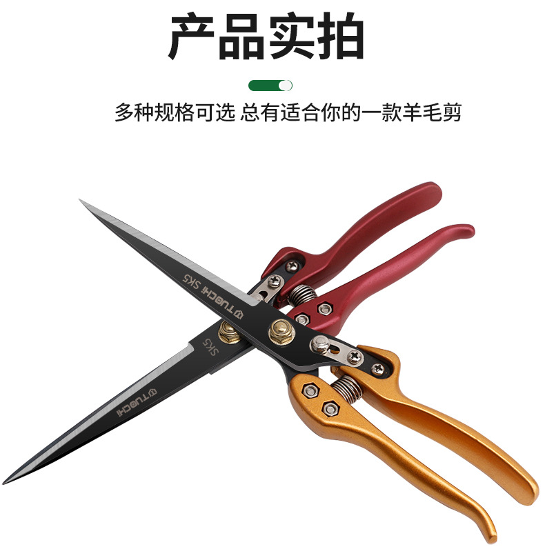 790详情_09.jpg