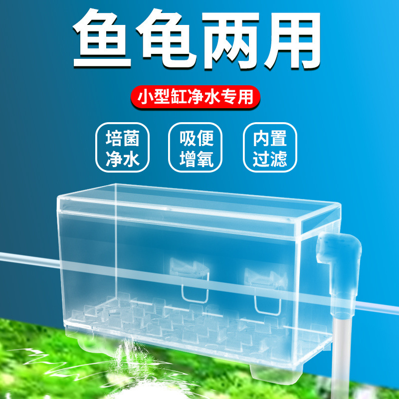 d6bbdc9c-21e0-4a63-a771-62b541b4c96f.jpe