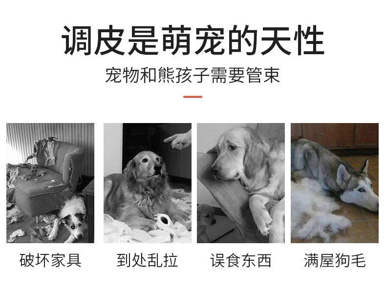 37135cb2-d5ca-4e03-897a-3775f0e6e565.jpe