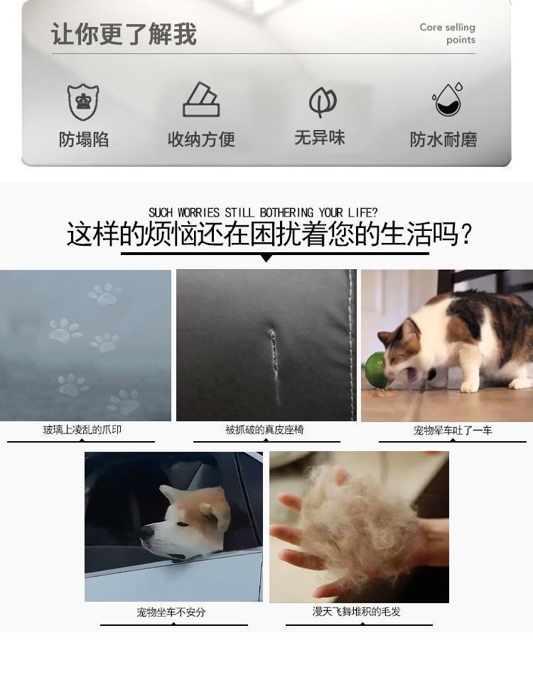 e683c6d7-c3f7-4f84-9481-a79dbf08d143.jpe