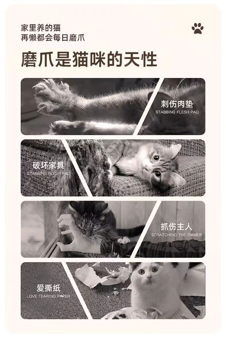 845e66c3-0453-422e-a9be-302fd7732aa1.jpe