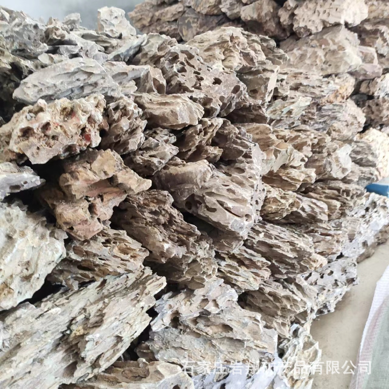 25d5581bbc461e1c96d1b2ca831050