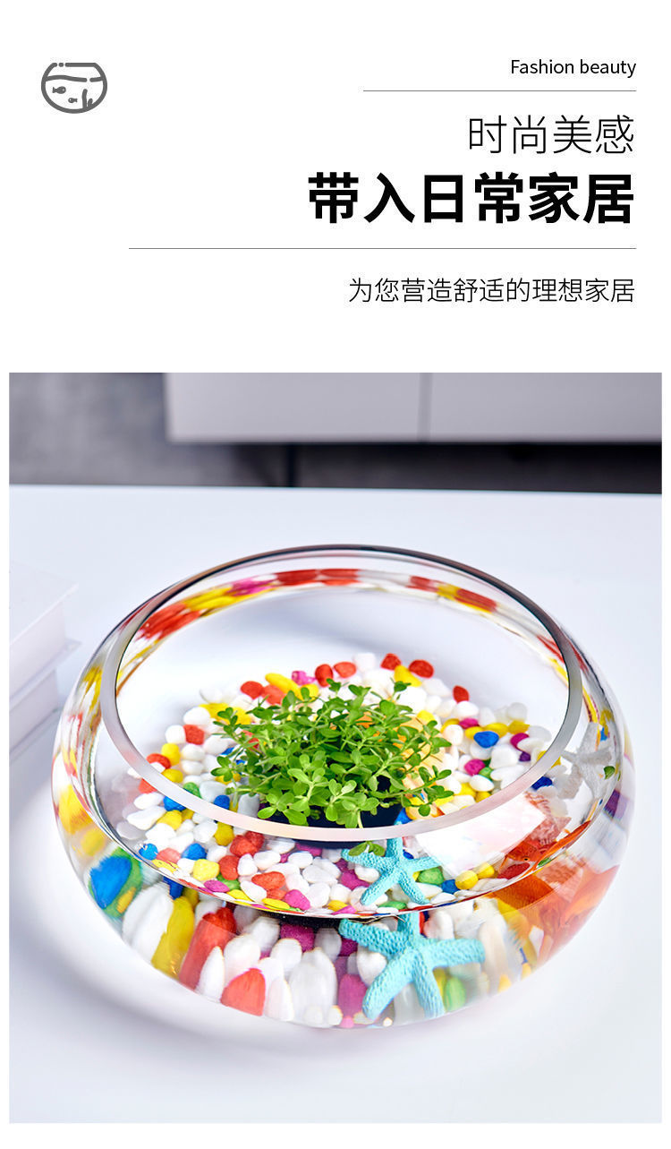 504faf48-6760-4b58-ba96-92ed1e2eb404.jpe