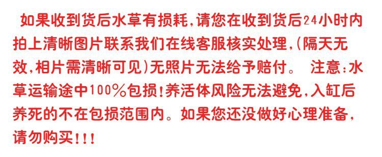 567cb91d-16c8-44b0-9826-a3d5bb511baa.jpe