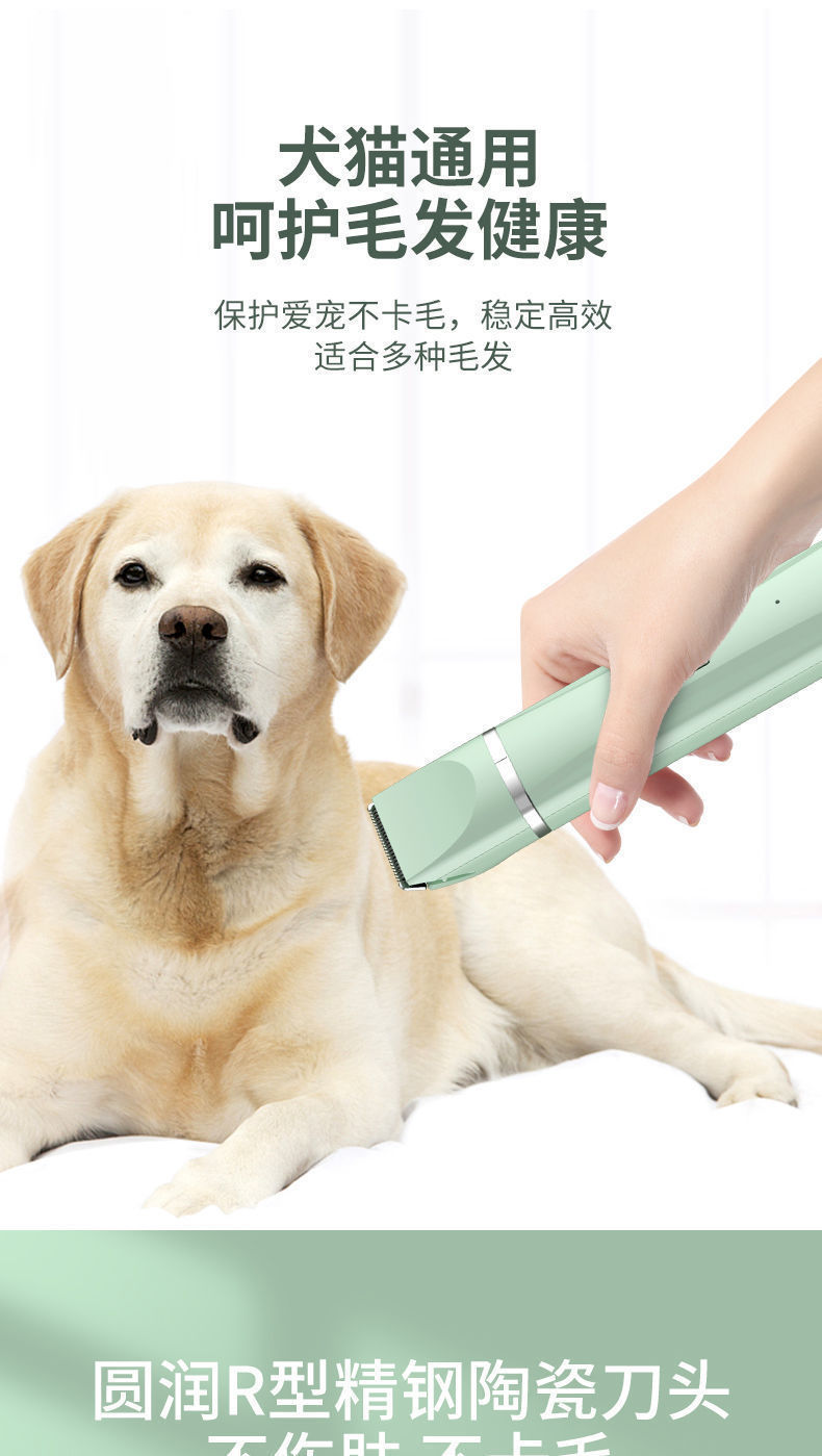 c9e3065a-40f6-4c58-8f8a-518922f8ef50.jpe