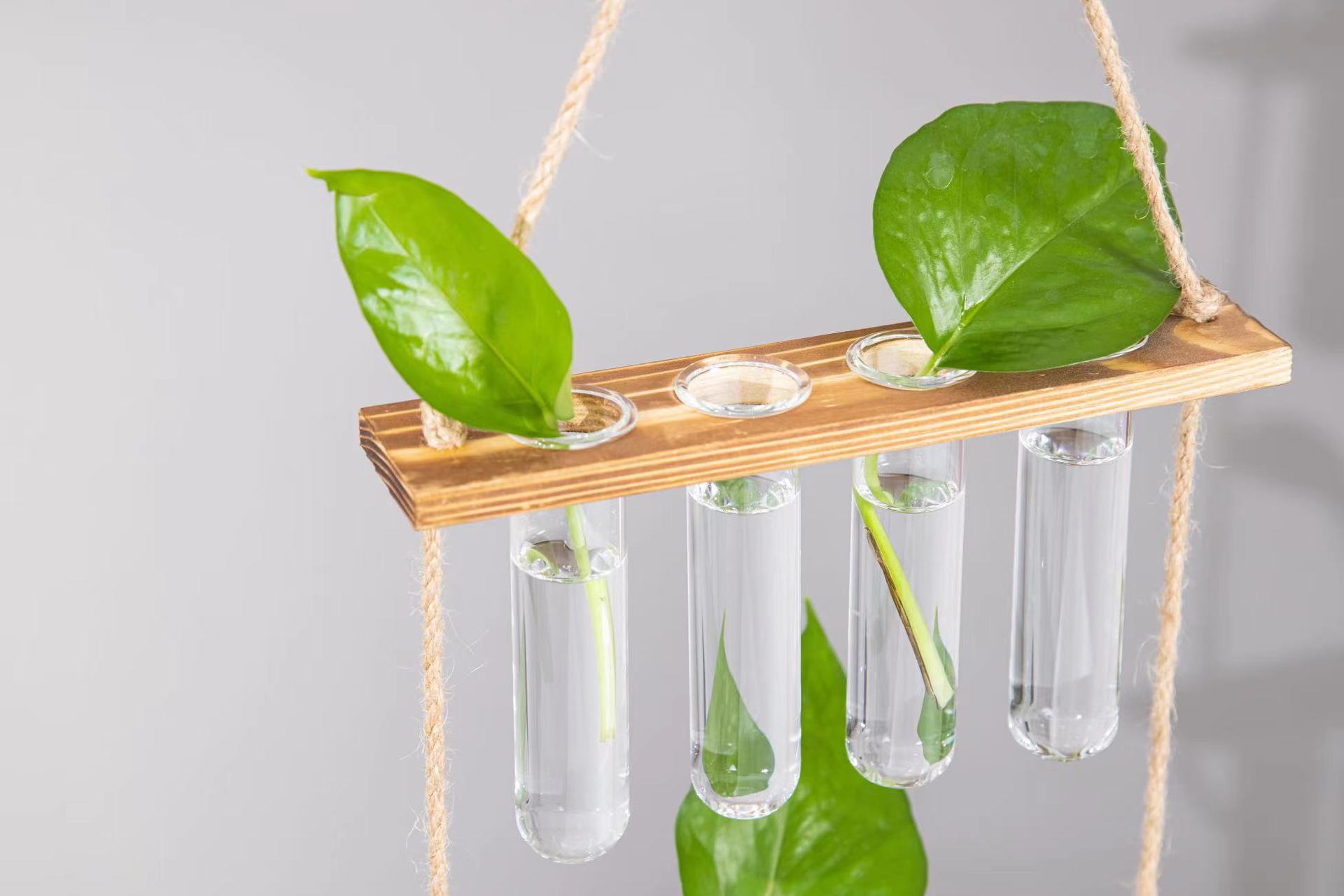 微信图片_20230728153859