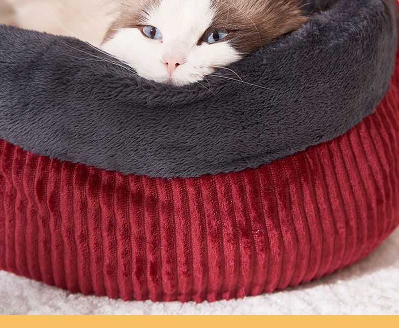 32cef58a-8bd7-4cae-8a9f-d89937cc1a79.jpe