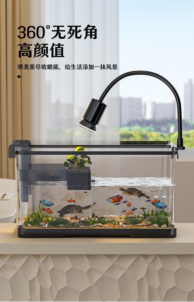 b5eb2d2c-11c8-4267-86a6-2a03b4c2d92d.jpe