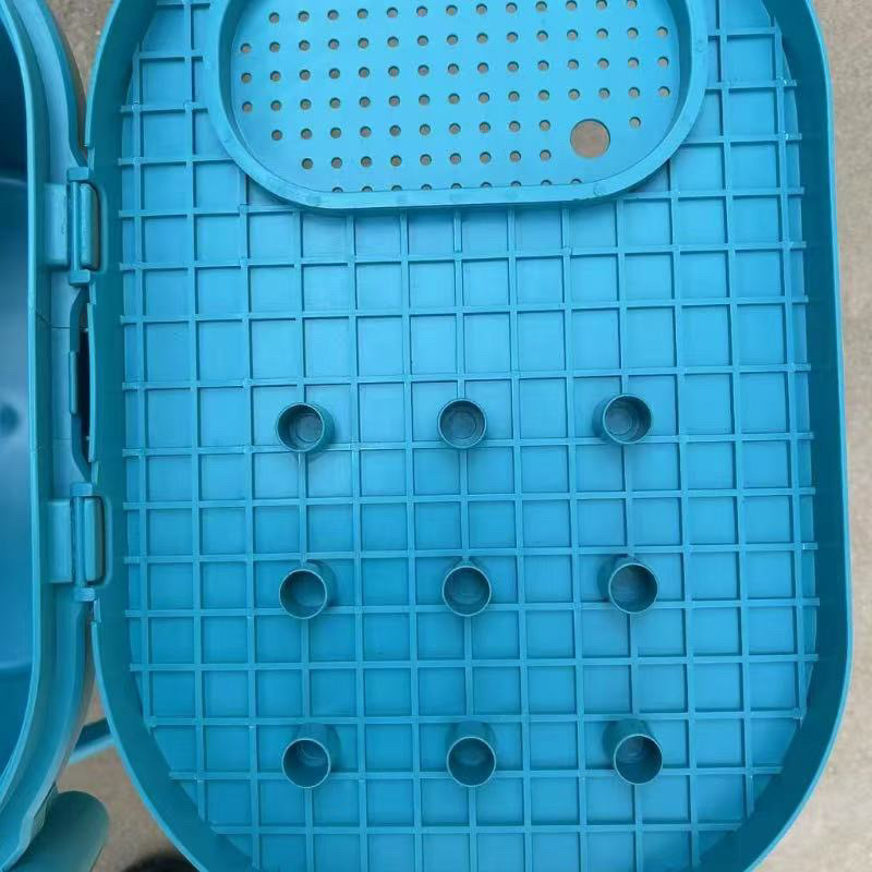 a00f6bc6-b97d-4c23-be51-90f1f5ea1d35.jpe