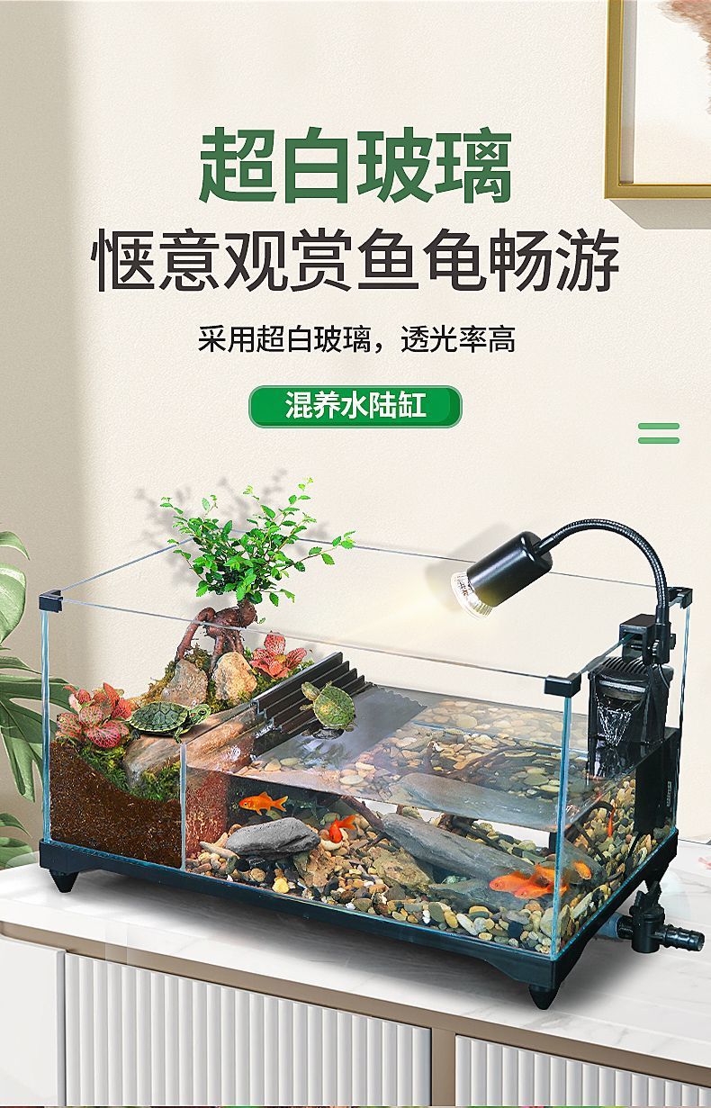 ca22afb9-b20e-4750-a391-899b90e968bb.jpe