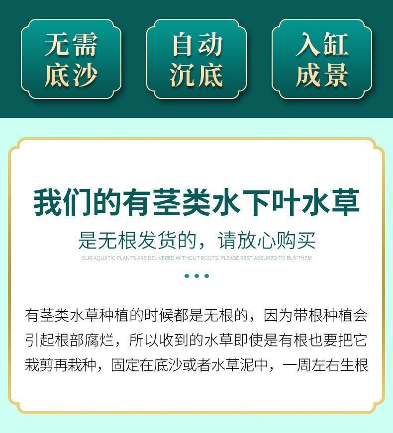 8a2ce63a-a293-4a25-b18d-13f701cc3b2a.jpe