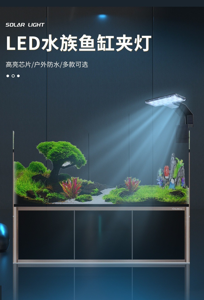 bda4bb88-8e1b-442a-81fb-04e5d8f5b6f8.jpe