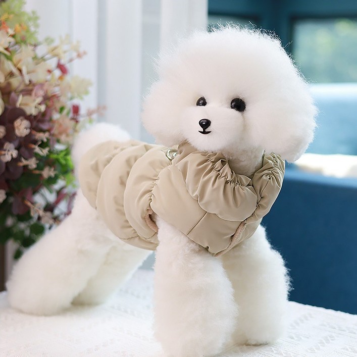 2024-11-19 13:28:37.jpg