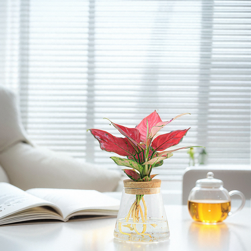 107e2168-0cba-45d1-b350-16b807062c4c.jpe