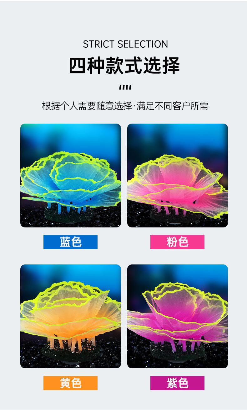 生菜珊瑚详情_05.jpg