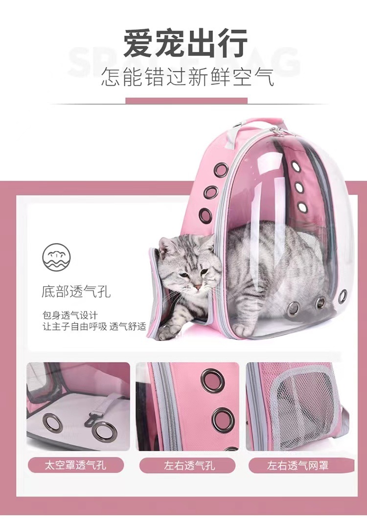 18f0e8a1-b1ea-49d6-973c-c55dbd93288b.jpe