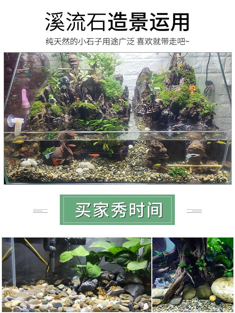 60034f0b-1e30-4123-abdb-4642f097c8dd.jpe