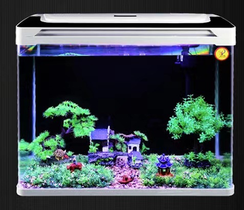 微信图片_20220405144655