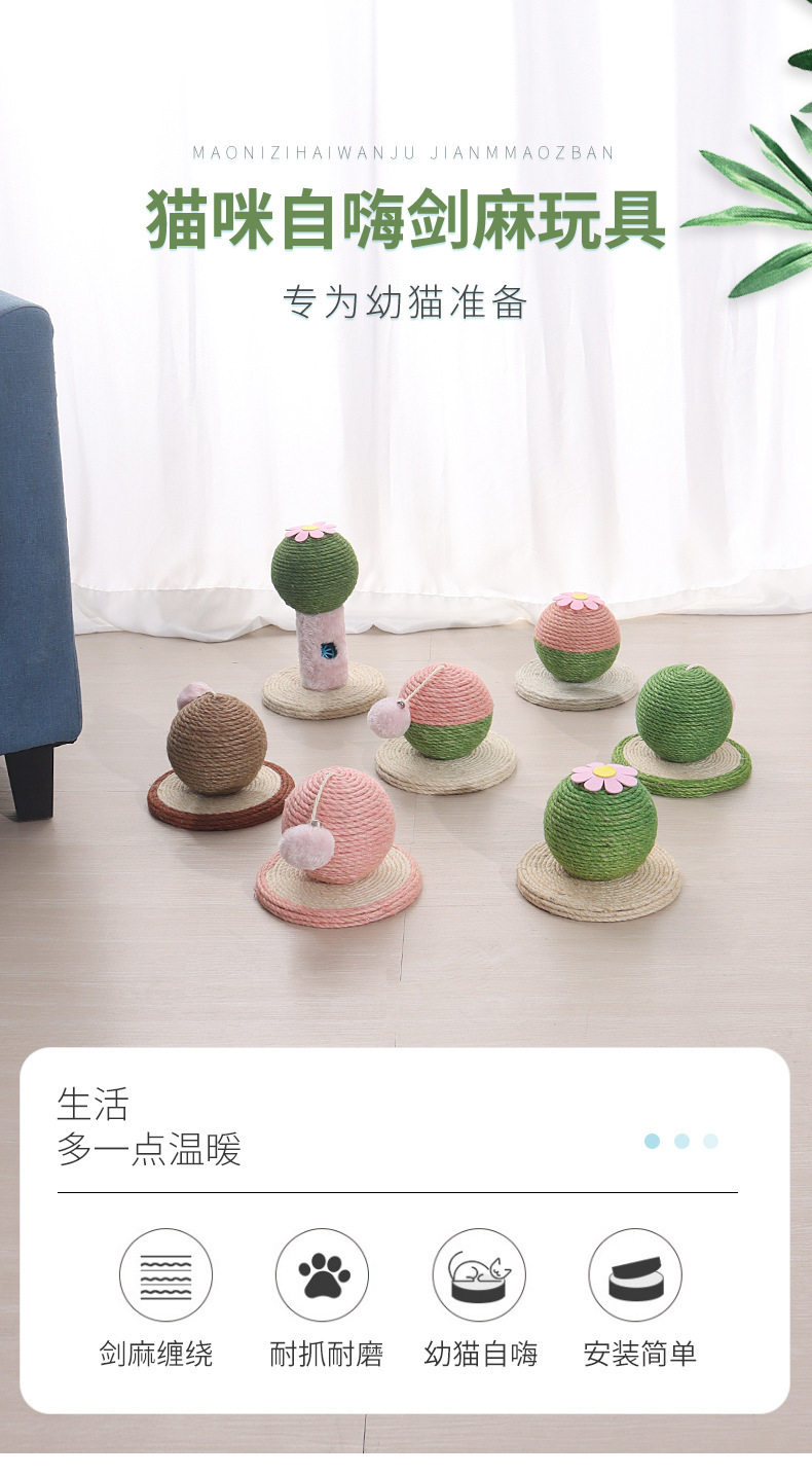猫咪圆球猫抓8.12_01.jpg