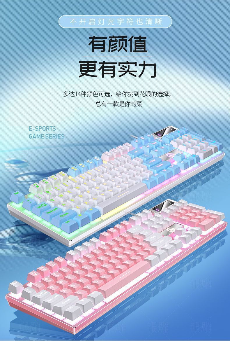 6f81213c-6845-4965-8e12-3db58934fef4.jpe