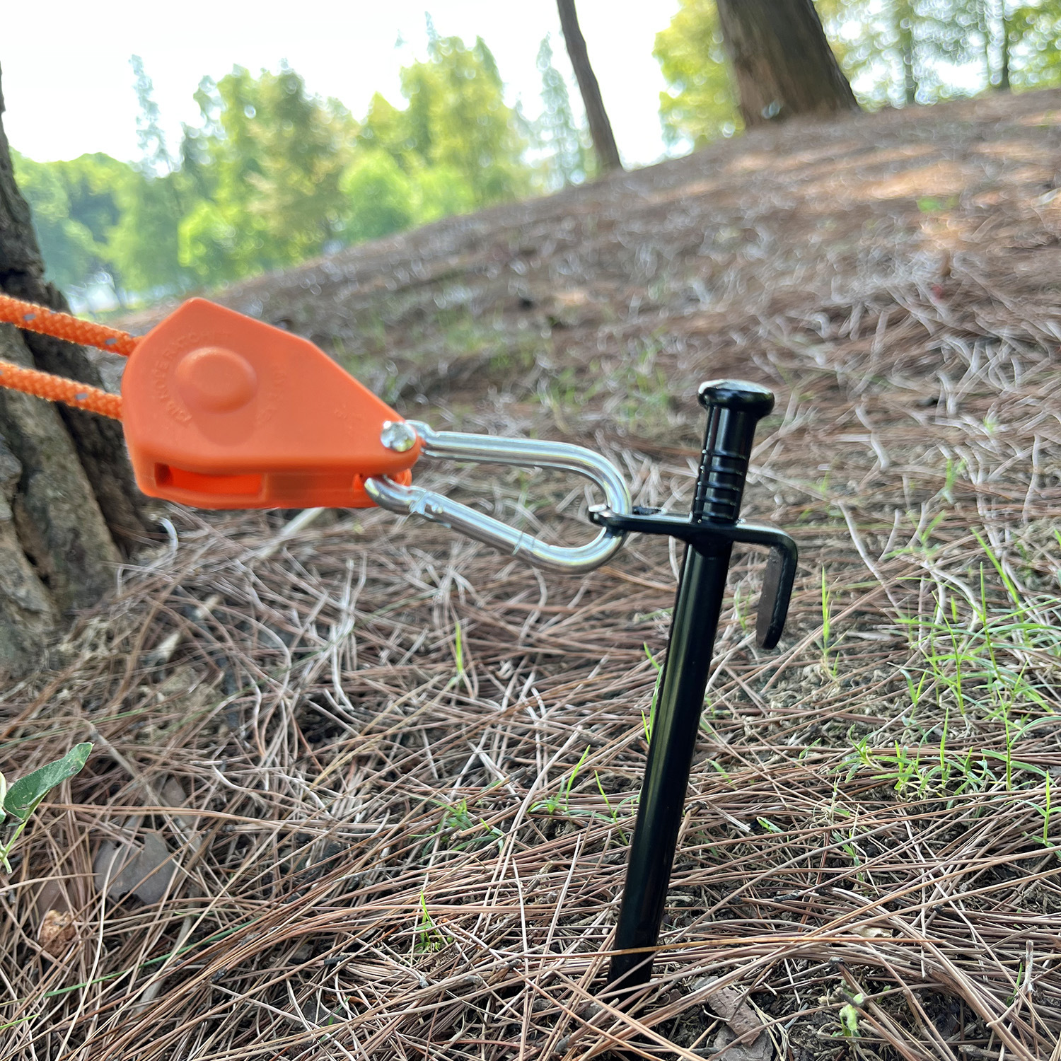 微信图片_20220906135910