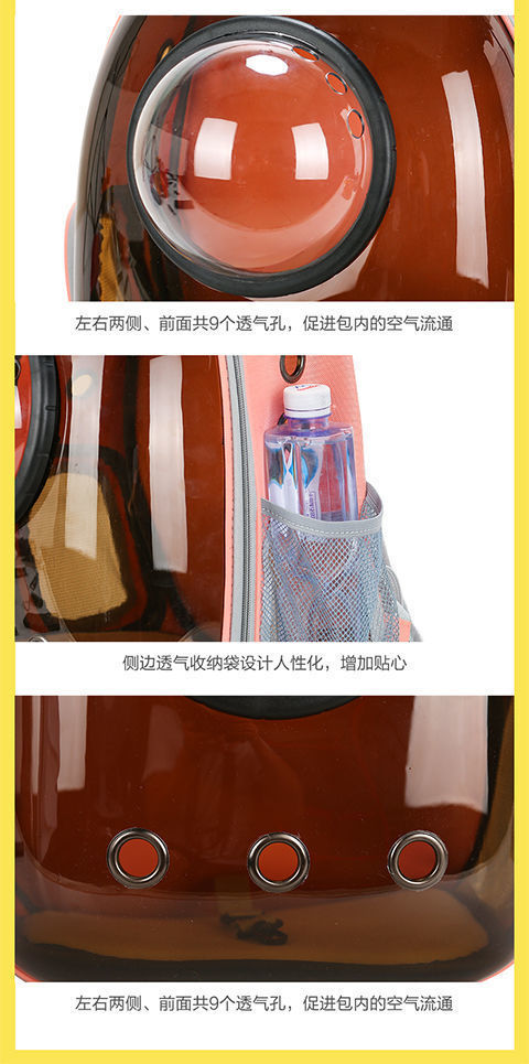 b40cf290-8b2d-43f9-9602-764877347996.jpe