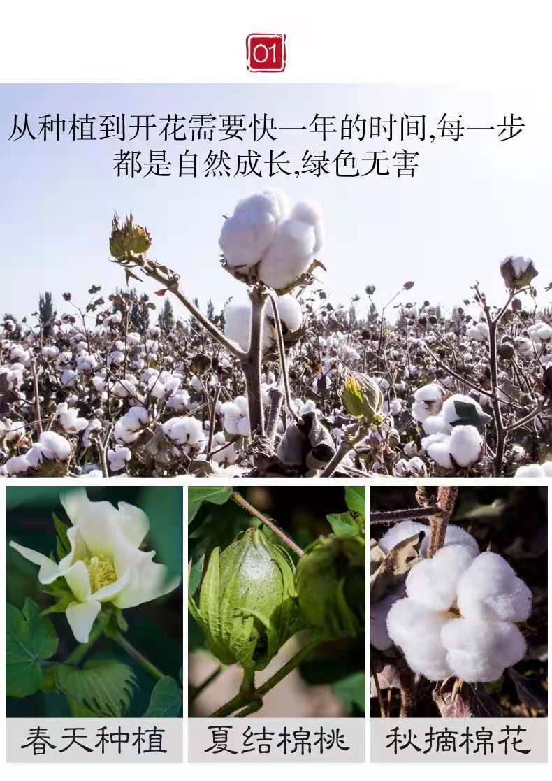 ed1d614a-94f8-4c02-a9be-7ca868fa53ca.jpe