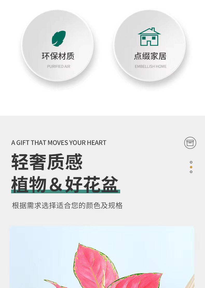 微信图片_20240113192646