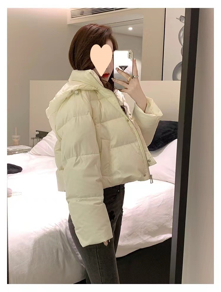 d31b2bbb-bbf0-40b2-8ef3-2c7660fd0b39.jpe