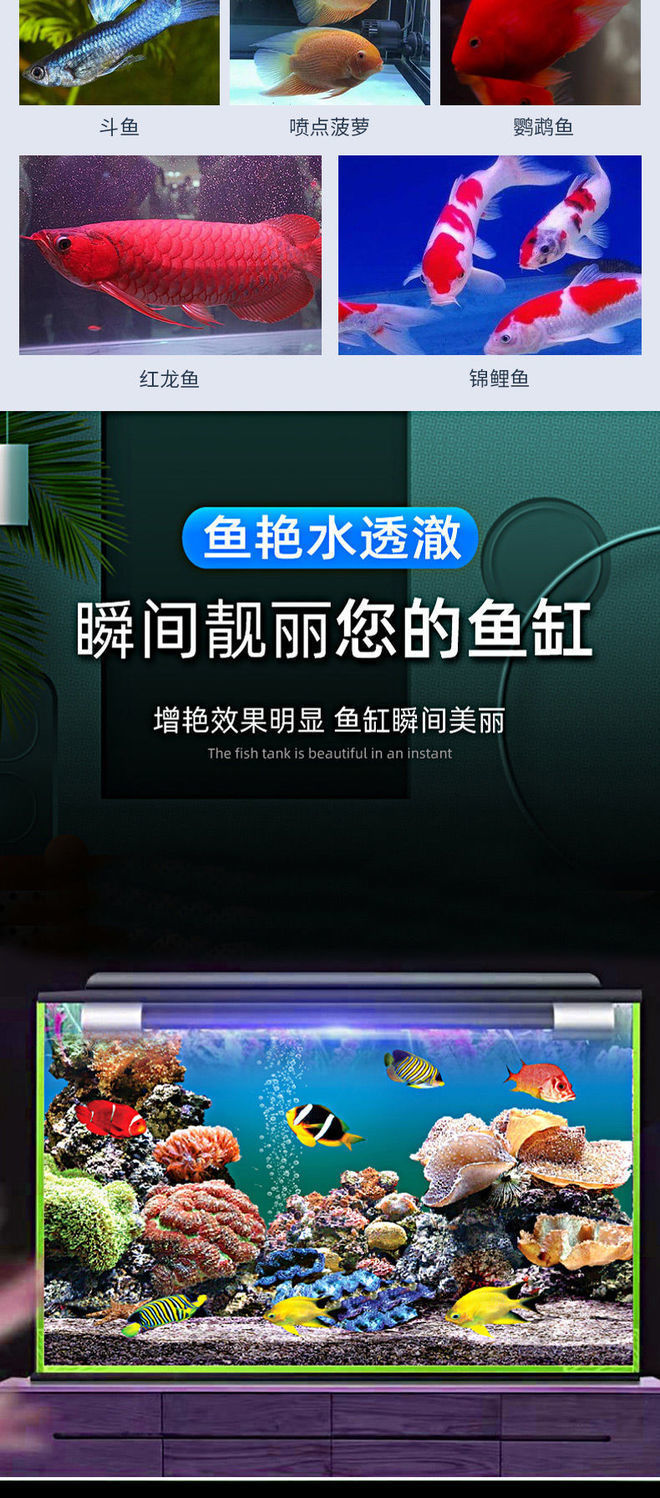 67745d37-e693-4d02-b0c4-394fddc7c960.jpe